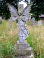 Mark Dowling &copy;fnrc